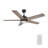 52'' Ceiling Fan with LED Lights-462345899