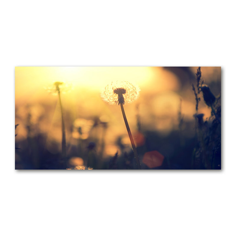 Dandelion - No Frame Print on Glass, 50cm H x 100cm W x 2cm D, Canvas