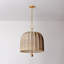 Lonnie Light Pendant-723881026
