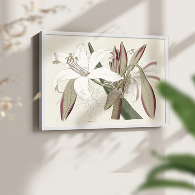 Amaryllis Varietals II - Reproduction encadrée - Restickable