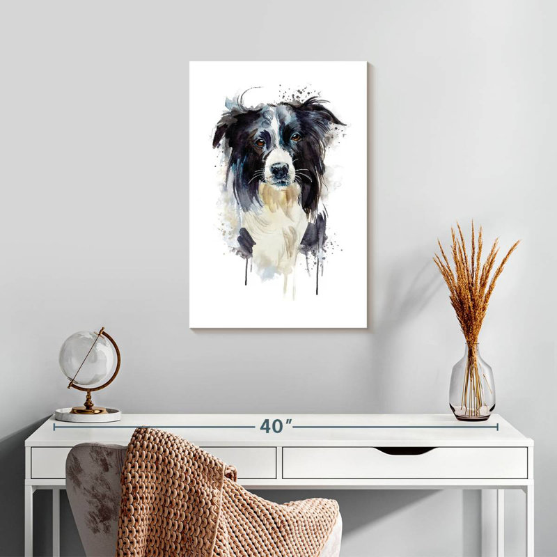 Border Collie Dog Splash, H 24 po x l 16 po