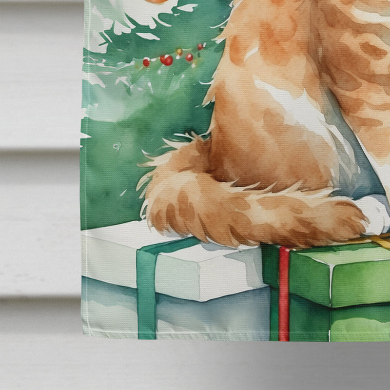 Chat avec le drapeau de la cabane dans l'arbre de Noël, Skookum
