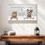 Bain de luxe pour animaux-1586666237