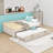 Full Upholstered Daybed with Trundle-1939705345