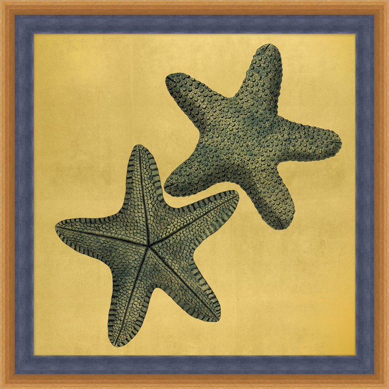 Gold Leaf Starfish 10 - Peinture encadrée sur papier