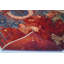 One-of-a-Kind 8' X 11'5" Area Rug