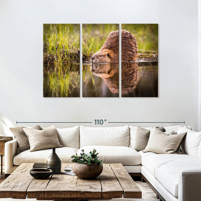 Brampt Beaver, 48" H x 74" W