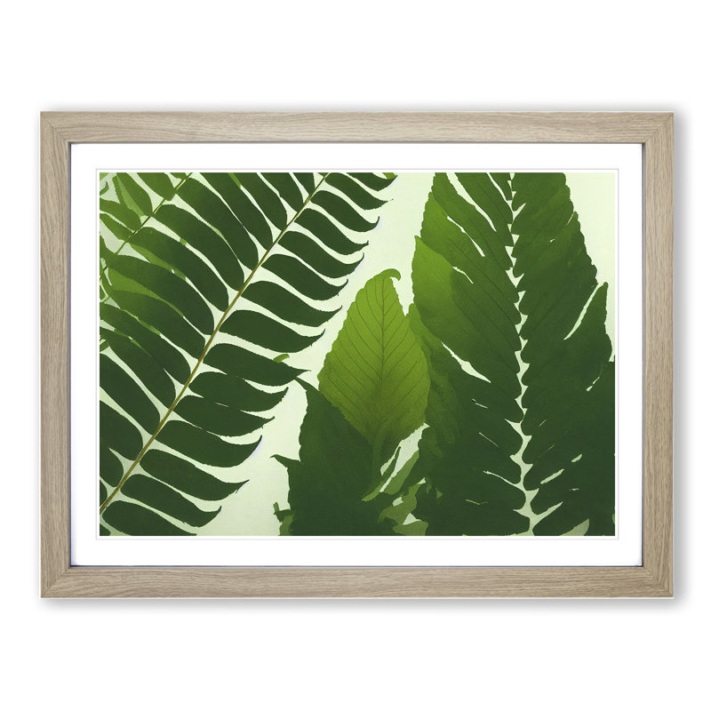 Contoured Fern Leaf - Framed Print, 25cm H x 34cm W x 2cm D, Oak