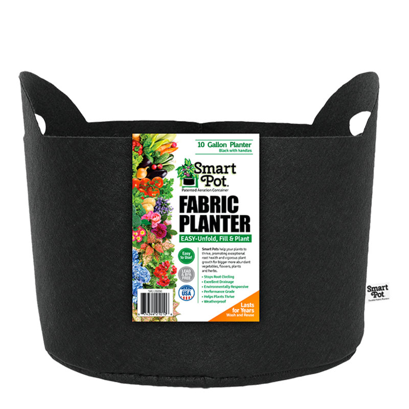 Jardinière en tissu Smart Pot®, Noir, 11,5 x 16 x 16