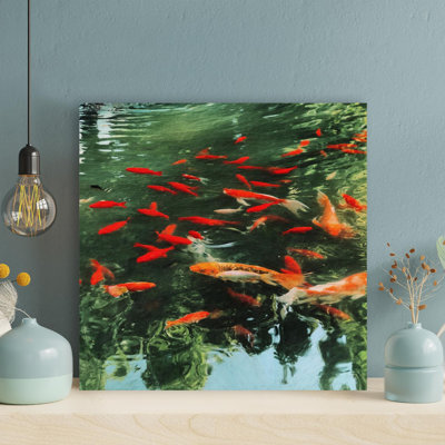 " Red Koi Fish In A Pond " Painting Print
