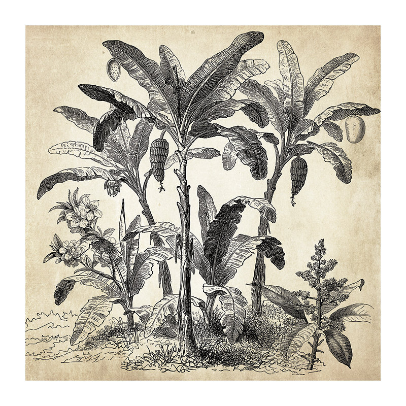 Basildene Matte Peel & Stick Mural, 208 x 146cm