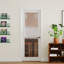 Intérieur 1 panneau de porte en verre givré avec porte à garde-manger avec panneau à noyau solide-124323851-124323854