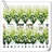 Lillies Arrangement-1324626066