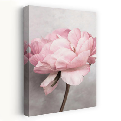 Peony Bloom, art mural contemporain abstrait