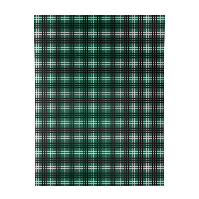 Plaid Indoor Rug