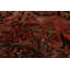Tapis rouge Sarabi 9 pi 8 po x 12 pi 10 po