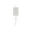 Baneberry 1 - Light Flush Mounted Sconce