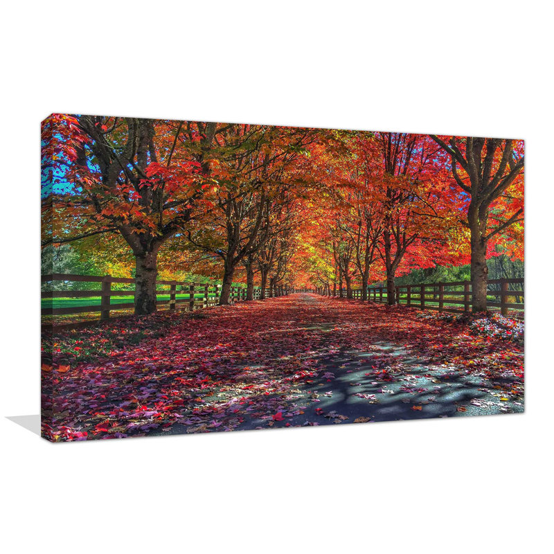 «Painted Forest Path», reproduction de photo sur toile tendue, H 24 po x l 40 po x p 1,5 po