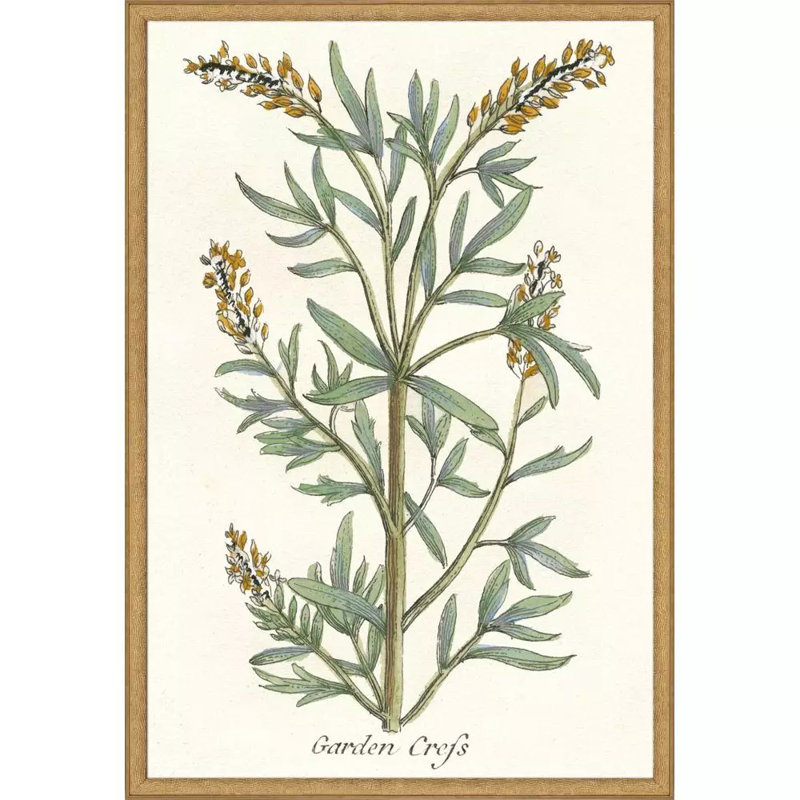 Botanical Plants III Set by Giclee Studio