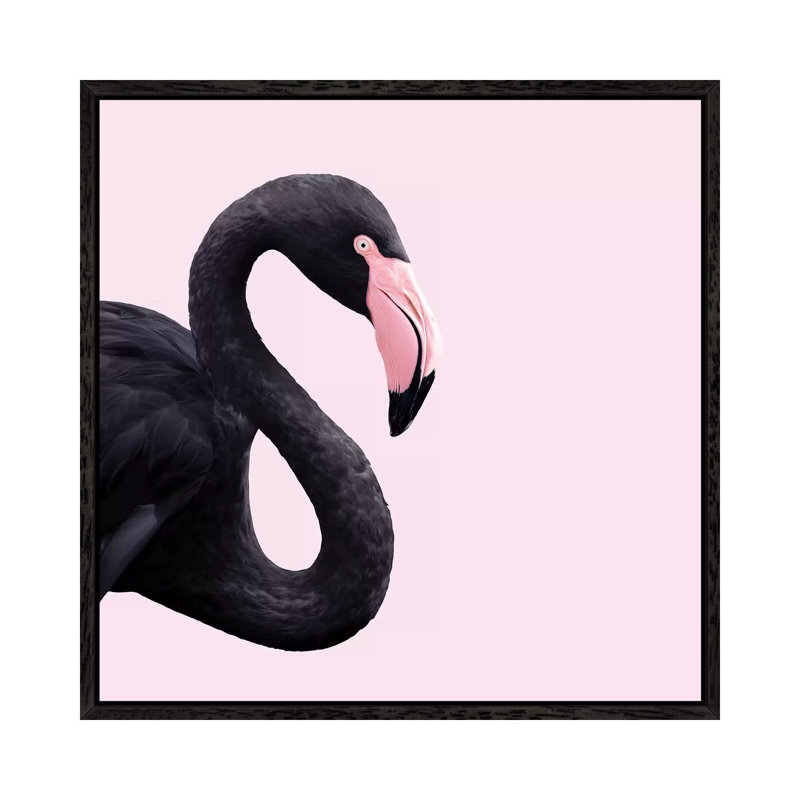 Black Flamingo by Paul Fuentes - Print on Canvas, Black Framed, 93.98 cm H x 93.98 cm W