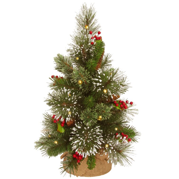 Wintry Pine 1' 6'' H Pine Flocked/Frosted Christmas Tree with 15 LED Lights