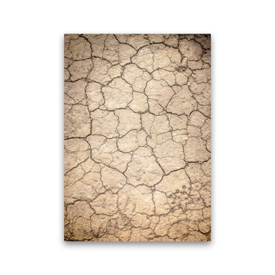 Desert Sand 1 Piece Wall Art