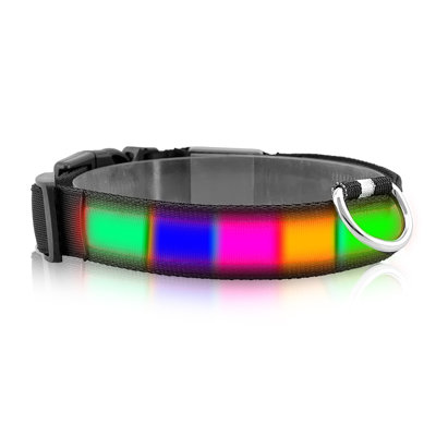 Dog Collar