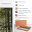 Impression sur toile Forest Forest-103316379