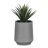 Dalya Pot Planter-86901337-86901339