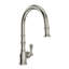 Georgian Era™ Pull-Down Single Handed Kitchen Faucet With Accessories-54637369