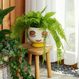 Stoneware Ceramic Planter with Decorative Face Design and Elevated Base for Modern Contemporary Decor