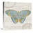 " Bookshelf Botanical VIII " by Katie Pertiet-28631538