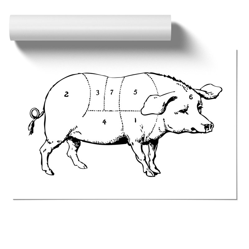 Butchers Pork Cuts - Frameless Print, 42cm H x 59cm W x 0.1cm D