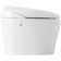 Karing Skirted One-Piece Elongated Toilet with Bidet Functionality