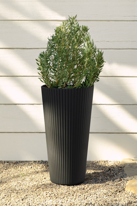 Shop the Demi Tall Planter