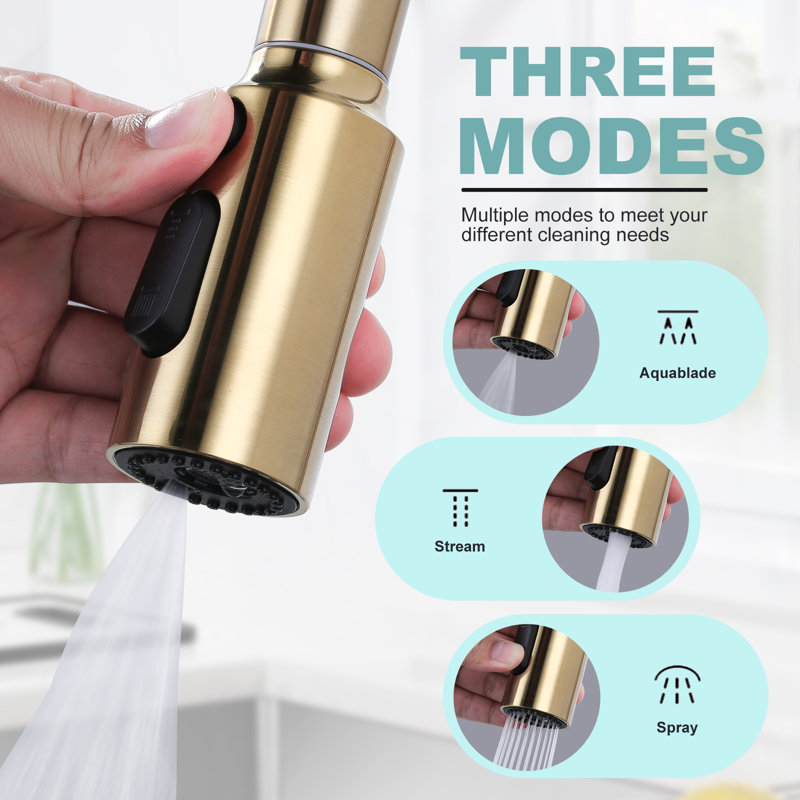 3-Function Pull Down Kitchen Faucet Spray Head Replacement with 9-Adapter Kit, Gold