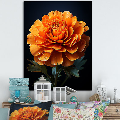 " Gold Marigold Radiant Marigold An "