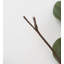 Branche d'eucalyptus éclairé avec 32 lumières DEL