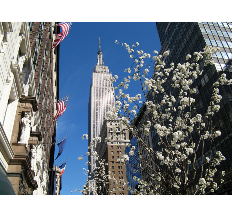 New York City Empire State Building, H 18 po x l 24 po
