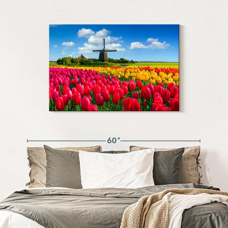 Champ de tulipes Alvord Holland, H 30 po x l 45 po