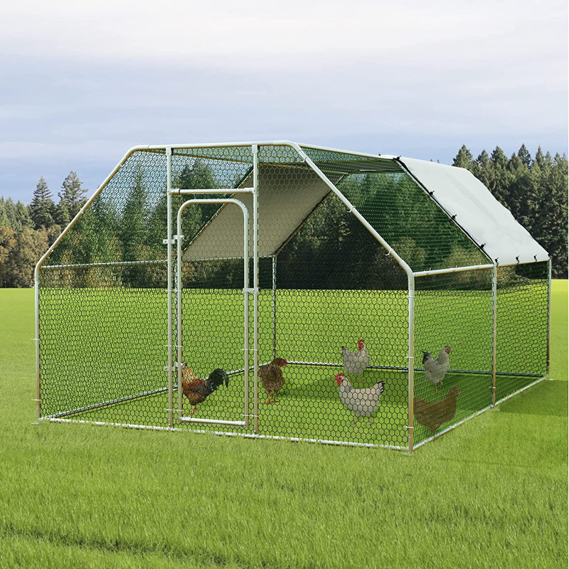 Poulailler avec grillage Brightling, H 75,6 po x l 112,8 po x P 151,2 po
