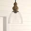 1 - Light Driftwood; Dark Weathered Zinc Single Pendant
