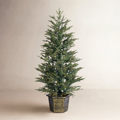 54' Lighted Artificial Pine Christmas Tree