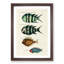 East Indies Fish Illustrations Fol. 33 by Louis Renard - Picture Frame Painting Print-55547387-55547388