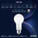 Luxrite Vintage A19 LED Light Bulb 7W=60W 5CCT 2700K 3000K 3500K 4000K 5000K Dimmable 800 Lumens, Standard LED Edison Bulb UL Listed, E26 Base 12 Pack