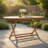 Bieber Foldable Wooden Coffee Table