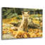 Art mural en verre acrylique épique «Sleepy Fall Fox» par Carrie Ann Grippo-Pike, 36 po x 24 po-985660978