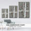 Birch Birds II, reproduction d'art sur toile-518076523-518076520