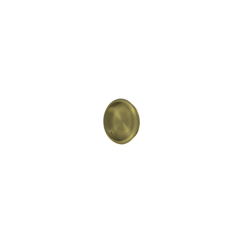 Brass Push/Pull Plate, Antique Brass