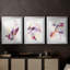 Polaire magenta I - reproduction sur mesure encadrée de qualité supérieure - 3 pièces-857612446-857612432